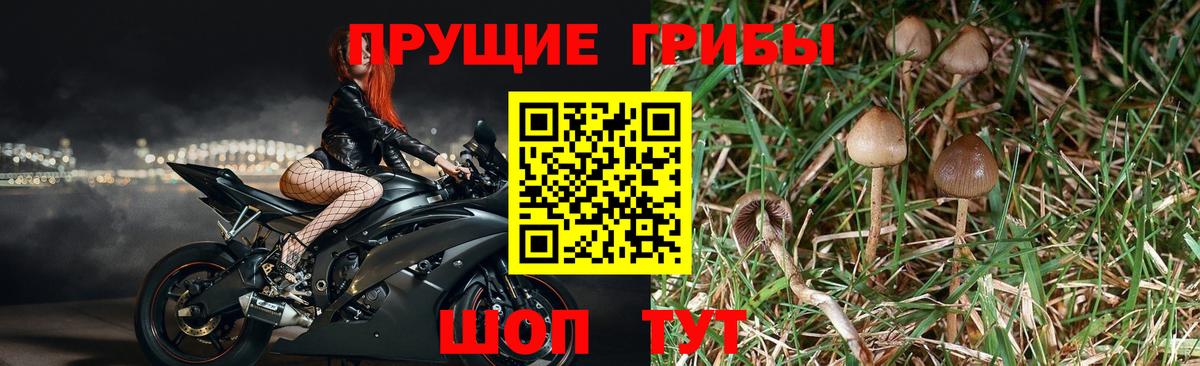 Галлюциногенные грибы мухоморы Клин