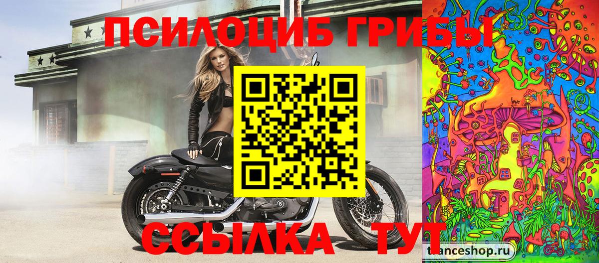 Псилоцибиновые грибы прущие грибы  Вход с VPN  Клин 